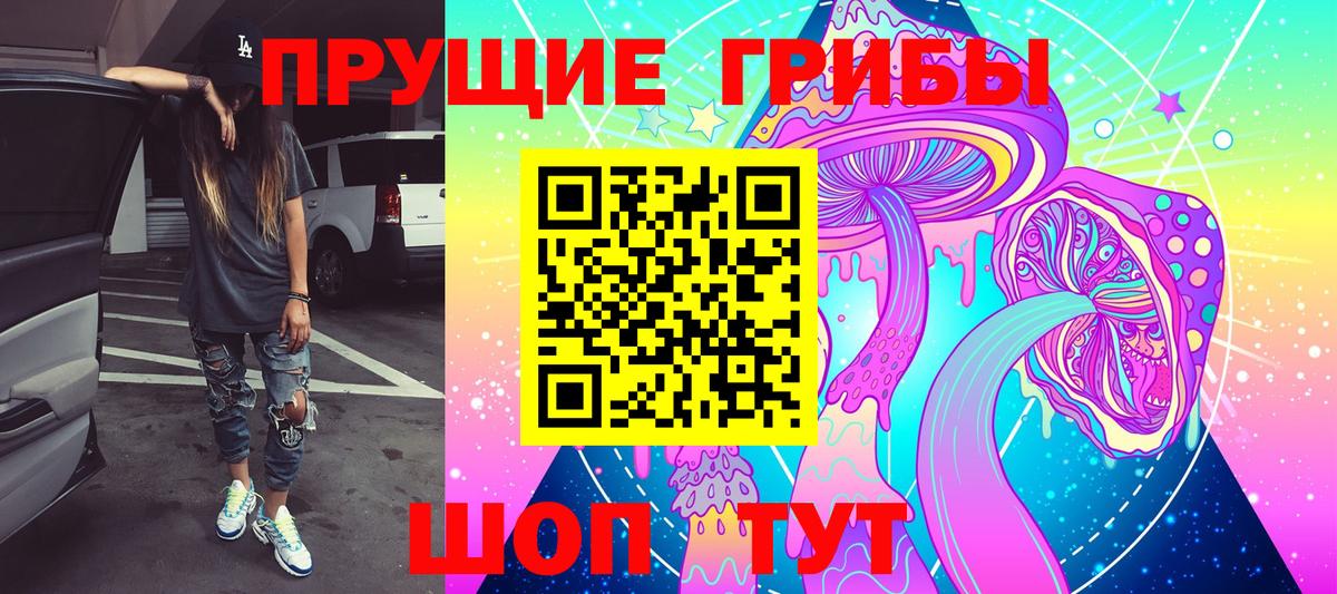 Галлюциногенные грибы Cubensis Михайловка