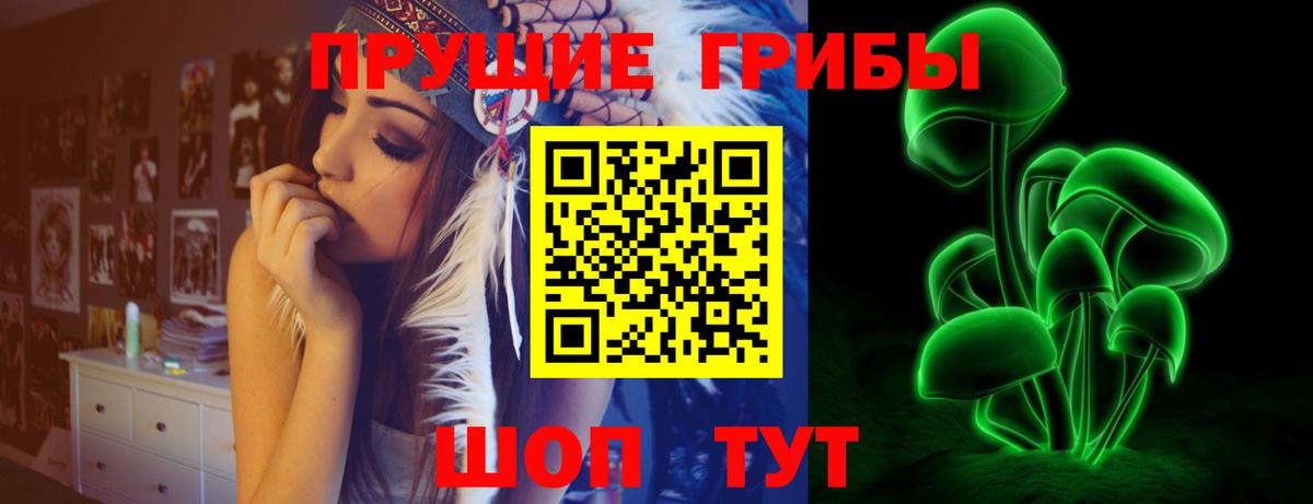 Михайловка  Псилоцибиновые грибы мухоморы  Вход с VPN 